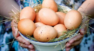 Чем полезны яйца?