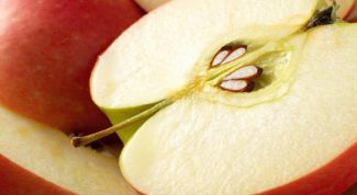 Можно ли вырастить яблоню из косточки в домашних условиях?