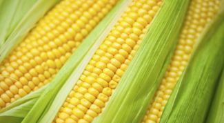 Сколько нужно варить кукурузу