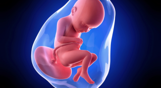 32 недели беременности: ощущения, развитие плода