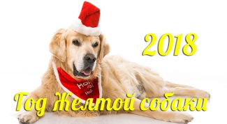 Как встретить год Желтой Земляной Собаки