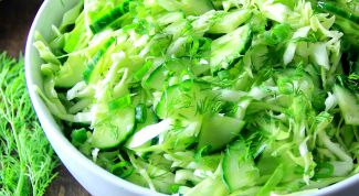 Как приготовить салат из капусты: 2 вкусных рецепта