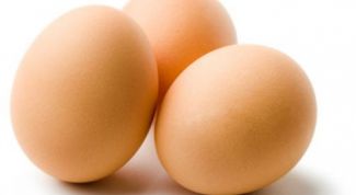 Как выбрать свежие куриные яйца