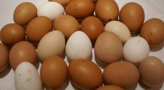 Как приготовить яйца: несколько рецептов 