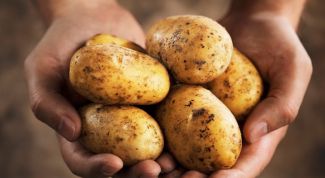 Чем полезен картофель - состав и полезные свойства