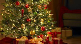 Как продлить жизнь новогодней елки в домашних условиях