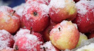 Можно ли замораживать яблоки на зиму в морозилке 