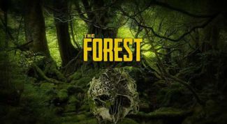 Как выжить после авиакатастрофы в игре «The Forest»