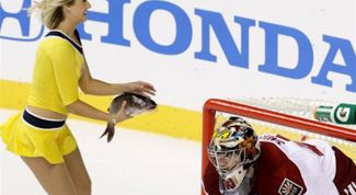 Почему в НХЛ бросают рыбу на лед