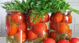 Помидоры с морковной ботвой на зиму: пошаговые рецепты с фото для легкого приготовления