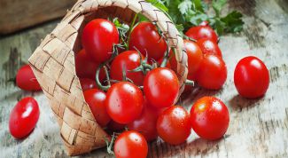 Какими целебными свойствами обладают помидоры