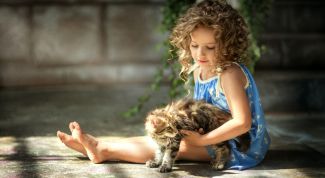 Как отучить ребенка мучить кота