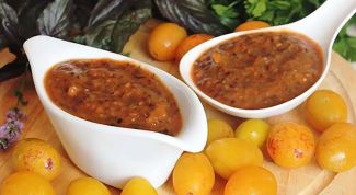 Соус из алычи: пошаговые рецепты с фото для легкого приготовления