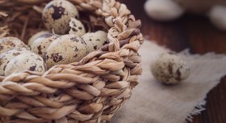 Основные полезные свойства перепелиных яиц