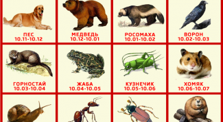 Славянский гороскоп животных по дате рождения