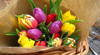 Как дольше сохранить букет тюльпанов в вазе