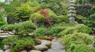 Ландшафтный дизайн. Сад в японском стиле