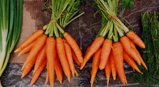 Как правильно сажать морковь, чтобы урожай был отменным 