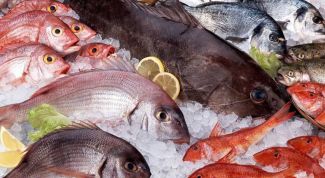 Как правильно выбирать свежую рыбу при покупке