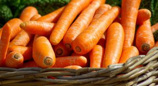 Сорта моркови: урожайность и особенности