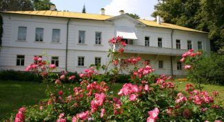 Музей-усадьба Толстых в Ясной Поляне