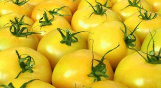 «Золотые яблоки»: лучшие сорта желтых томатов