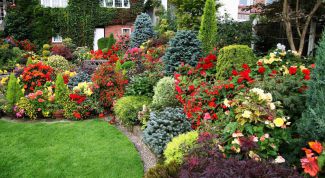 Английский пейзажный стиль: особенности английского сада