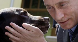 Какой породы собака у Путина?