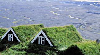 Зеленые крыши: виды, преимущества, недостатки