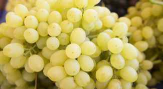 Лора (виноград): описание сорта