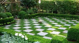 Варианты тематических садов в ландшафтном дизайне