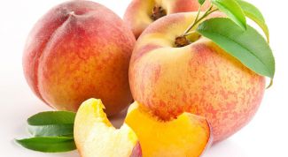 Персик: калорийность, влияние на здоровье и фигуру
