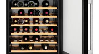 Как выбрать холодильник для вина домашний