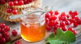 Калина с медом: рецепты от кашля