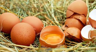 Как узнать свежесть яиц и как их правильно хранить