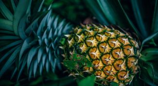 Использование ананаса в магии и его польза для здоровья