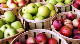 Как хранить яблоки: разные варианты