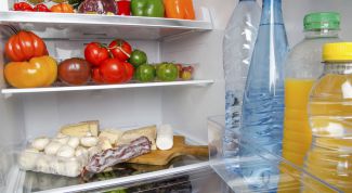 Бактерицидная лампа в холодильнике - залог сохранности продуктов