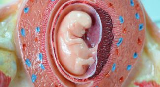 Старение плаценты при беременности