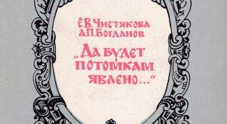 Елена Чистякова: биография, творчество, карьера, личная жизнь