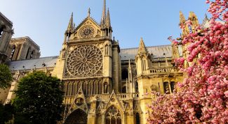 Собор Парижской Богоматери: история, легенды, интересные факты