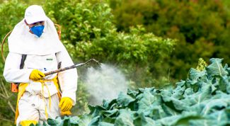 Как защититься от пестицидов в овощах и фруктах