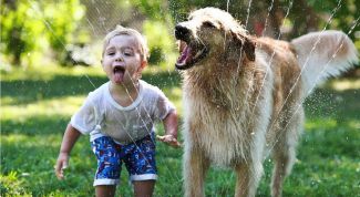 Дети и животные: плюсы и минусы содержания домашних животных в семьях с детьми 