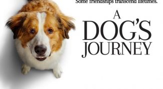О чем фильм "Собачья жизнь 2": дата выхода в России, актеры, трейлер