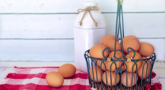 Как правильно использовать яйца: правила безопасности