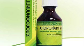 Хлорофиллипт – масляный раствор для горла: показания к применению
