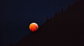 Как лунное затмение 10 января 2020 года повлияет на земные знаки Зодиака