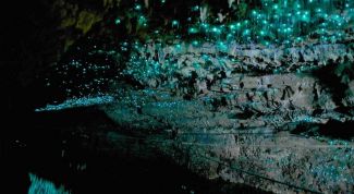 Пещера Светлячков: звездное небо системы Вайтомо 