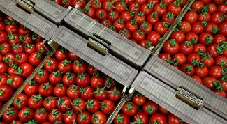Почему Россия ввела запрет на ввоз томатов и яблок из Азербайджана