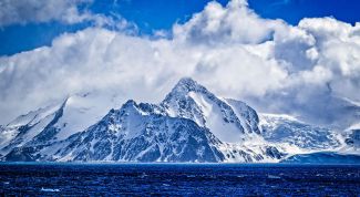 7 интересных фактов об Антарктиде